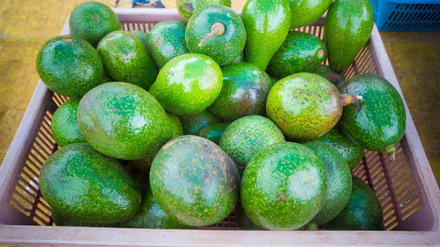 Apa Saja Kandungan Nutrisi dalam Buah Alpukat? Ini Jawaban Lengkapnya!